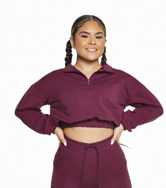 Burgundy crop top online hoodie